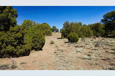127 Navajo Ranch Resort, Walsenburg, CO 81089 - Photo 15