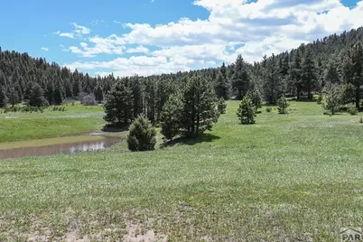 40 Acres Hwy 78, Beulah, CO 81023 - Photo 3