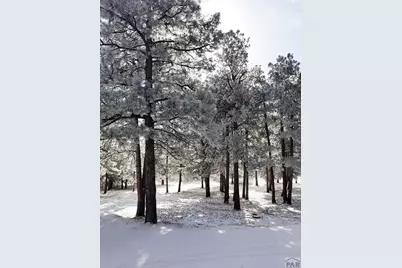 40 Acres Hwy 78, Beulah, CO 81023 - Photo 7