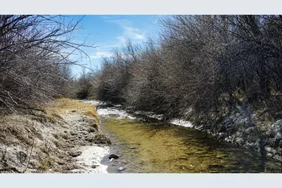 161 Colorado Land and Livestock, Walsenburg, CO 81089 - Photo 9