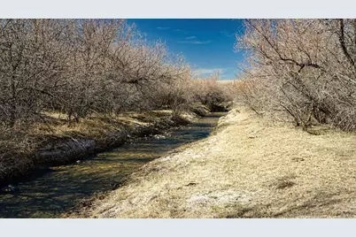 161 Colorado Land and Livestock, Walsenburg, CO 81089 - Photo 11