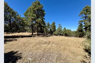 34999 Timber Park Dr, Trinidad, CO 81082 - Photo 7