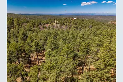 34999 Timber Park Dr, Trinidad, CO 81082 - Photo 25