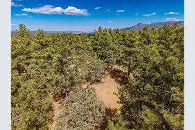 34999 Timber Park Dr, Trinidad, CO 81082 - Photo 19
