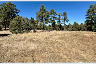 34999 Timber Park Dr, Trinidad, CO 81082 - Photo 5