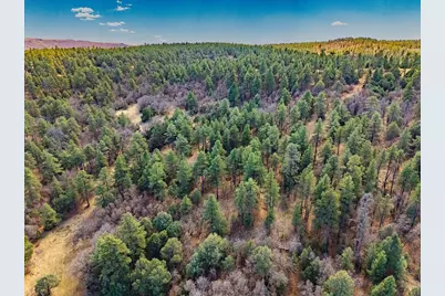 34999 Timber Park Dr, Trinidad, CO 81082 - Photo 23