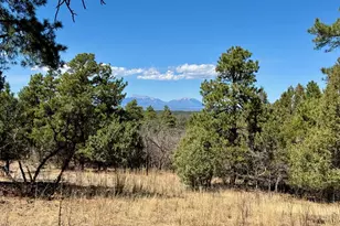 34999 Timber Park Dr, Trinidad, CO 81082 - Photo 1