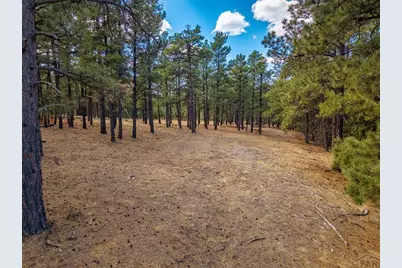 34999 Timber Park Dr, Trinidad, CO 81082 - Photo 15