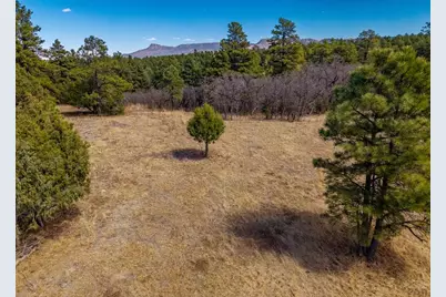 34999 Timber Park Dr, Trinidad, CO 81082 - Photo 17