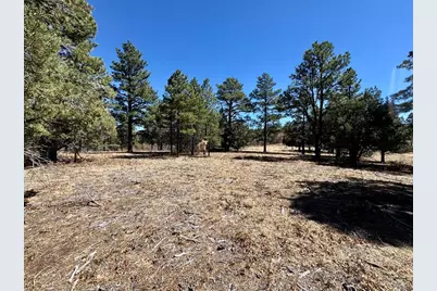 34999 Timber Park Dr, Trinidad, CO 81082 - Photo 11