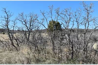 Tbd Avis Pl, Colorado City, CO 81019 - Photo 5