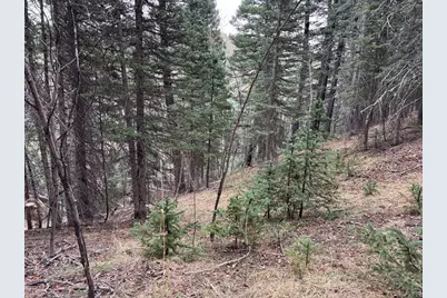 132 Aspen Acres, Rye, CO 81252 - Photo 5