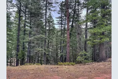 132 Aspen Acres, Rye, CO 81252 - Photo 3