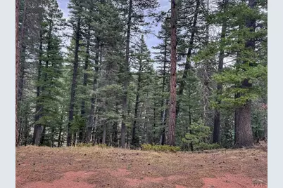 132 Aspen Acres, Rye, CO 81252 - Photo 7