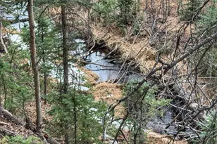 132 Aspen Acres, Rye, CO 81252 - Photo 1