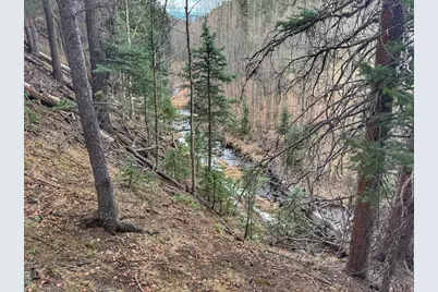 132 Aspen Acres, Rye, CO 81252 - Photo 9