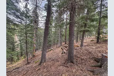 132 Aspen Acres, Rye, CO 81252 - Photo 13