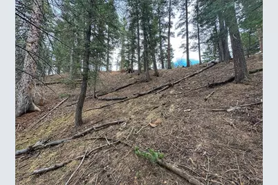 132 Aspen Acres, Rye, CO 81252 - Photo 11