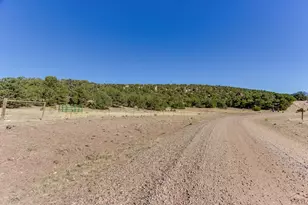 Lot 204 Colorado Land and Grazing, Gardner, CO 81040 - Photo 85