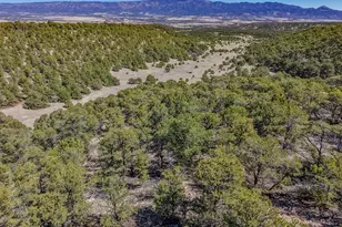 Lot 204 Colorado Land and Grazing, Gardner, CO 81040 - Photo 73