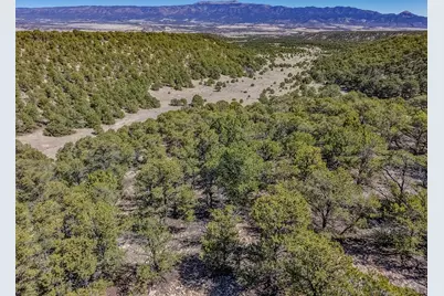 Lot 204 Colorado Land and Grazing #CC, Gardner, CO 81040 - Photo 63