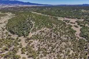 Lot 204 Colorado Land and Grazing, Gardner, CO 81040 - Photo 75