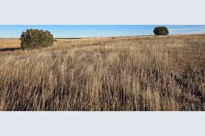 Tbd Morgan Place, Colorado City, CO 81019 - Photo 11