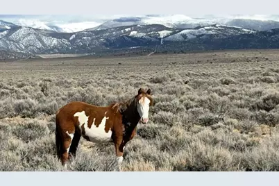 16383 Peacock Rd, San Luis, CO 81152 - Photo 31