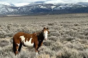 16383 Peacock Rd, San Luis, CO 81152 - Photo 31
