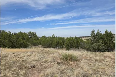 Tbd Cedarwood Rd, Rye, CO 81069 - Photo 5