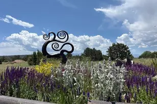 619 Black Diamond Dr, Walsenburg, CO 81089 - Photo 37