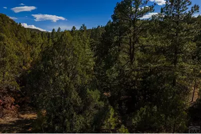 84 North Mountain, Walsenburg, CO 81089 - Photo 9