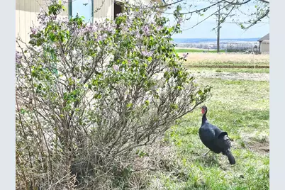 4649 Huajatolla Dr, Colorado City, CO 81019 - Photo 17