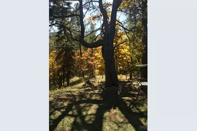 6174 Pennsylvania Ave, Beulah, CO 81023 - Photo 55