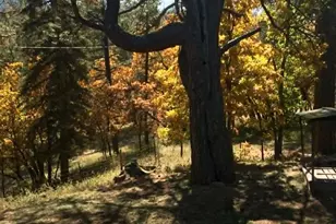 6174 Pennsylvania Ave, Beulah, CO 81023 - Photo 55