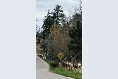 6174 Pennsylvania Ave, Beulah, CO 81023 - Photo 41