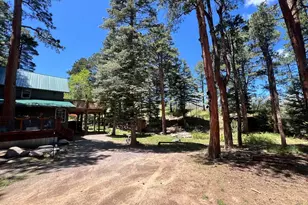 10421 Linger Longer Ln, Rye, CO 81069 - Photo 33