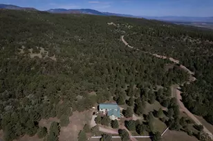 8716 National Forest Dr, Beulah, CO 81023 - Photo 43