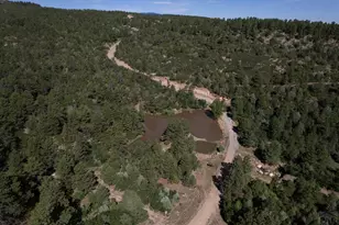 8716 National Forest Dr, Beulah, CO 81023 - Photo 45