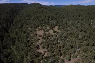 8716 National Forest Dr, Beulah, CO 81023 - Photo 41