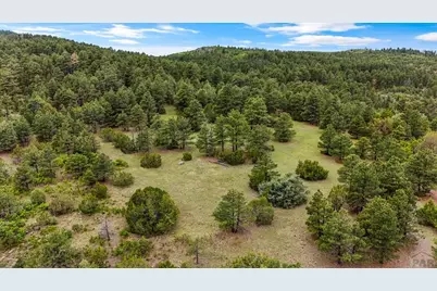 8716 National Forest Dr, Beulah, CO 81023 - Photo 57