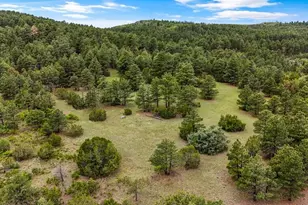 8716 National Forest Dr, Beulah, CO 81023 - Photo 57