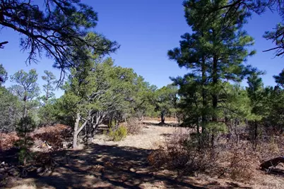 25110 N Ridgeline Dr, Trinidad, CO 81082 - Photo 41