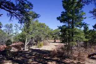 25110 N Ridgeline Dr, Trinidad, CO 81082 - Photo 41