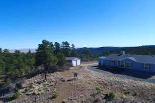 25110 N Ridgeline Dr, Trinidad, CO 81082 - Photo 63