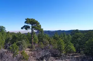25110 N Ridgeline Dr, Trinidad, CO 81082 - Photo 61