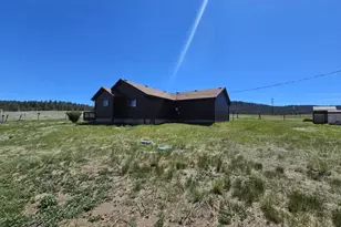 145 S Deer Mountain Trail, Florissant, CO 80816 - Photo 31