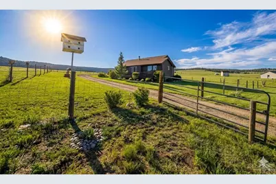 145 S Deer Mountain Trail, Florissant, CO 80816 - Photo 1