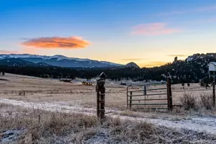 145 S Deer Mountain Trail, Florissant, CO 80816 - Photo 25