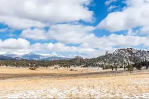 145 S Deer Mountain Trail, Florissant, CO 80816 - Photo 35